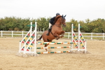 SBM_008445