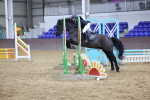 SBM_004592