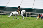 SBM_06060