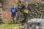 Stybarrow Dodd-955