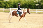 SBM_006463