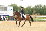 SBM_000609