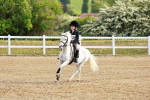 SBM_006444