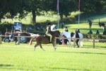 SBM_37222
