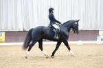 SBM_002313