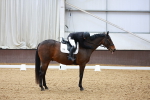 SBM_000891