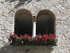 Geraniums in Sirmione