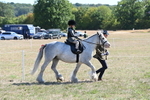 WJ6_7817