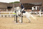 SBM_008528