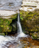 Yorkshire9