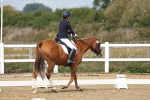SBM_001833
