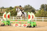 SBM_04035