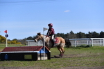 WJ5_7640