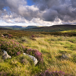 The Glens Of Antrim