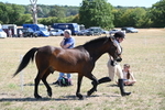 WJ6_8572