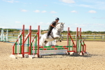 SBM_005079