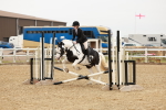 SBM_007118