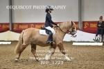 BPP_1723