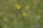 BVR160717-642