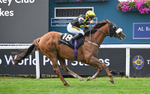 Race 1 13.50pm Hong Kong Jockey Club World Pool Handicap portfolio