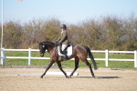 SBM_003392
