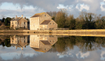 Carew Reflections