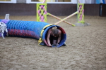 SBM_004785