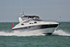160813 BALLENA FAIRLINE TARGA 43 Y92A1997