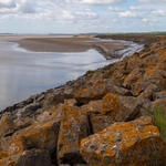 Tides Out