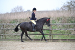 SBM_004706