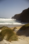 SAND FLY BEACH, DUNEDIN