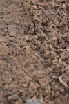 231101A-104848-00048