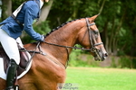 964-Dani.Stewart-Richardson-Finian portfolio
