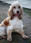 Daisy Posing 2