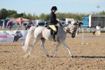 SBM_12178