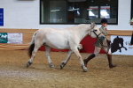 SBM_09550