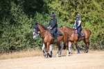 WJ6_8339