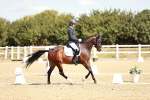 SBM_009386