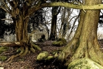 Coven, Devils Pulpit