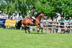 SBM_07897