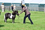 SBM_03512