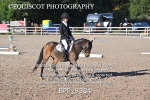 BPP_8304