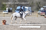 BPP_9404