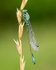20080627- 010