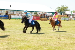 SBM_17332