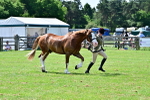 SBM_03914