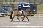 BPP_8671