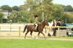 SBM_69878