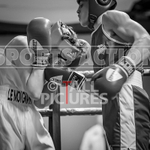 BOUT 5 - Ethan Le Moignan v Yoan Slaveykov-37