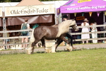 SBM_08767